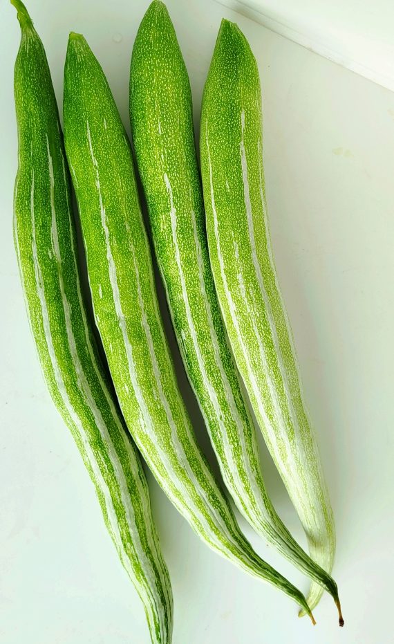 Fresh Snake Gourd (Chachinda) - each