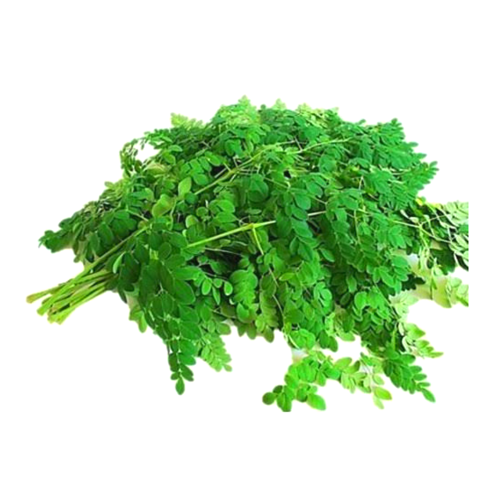 Drumstick Leaves (Munga) (bunch)