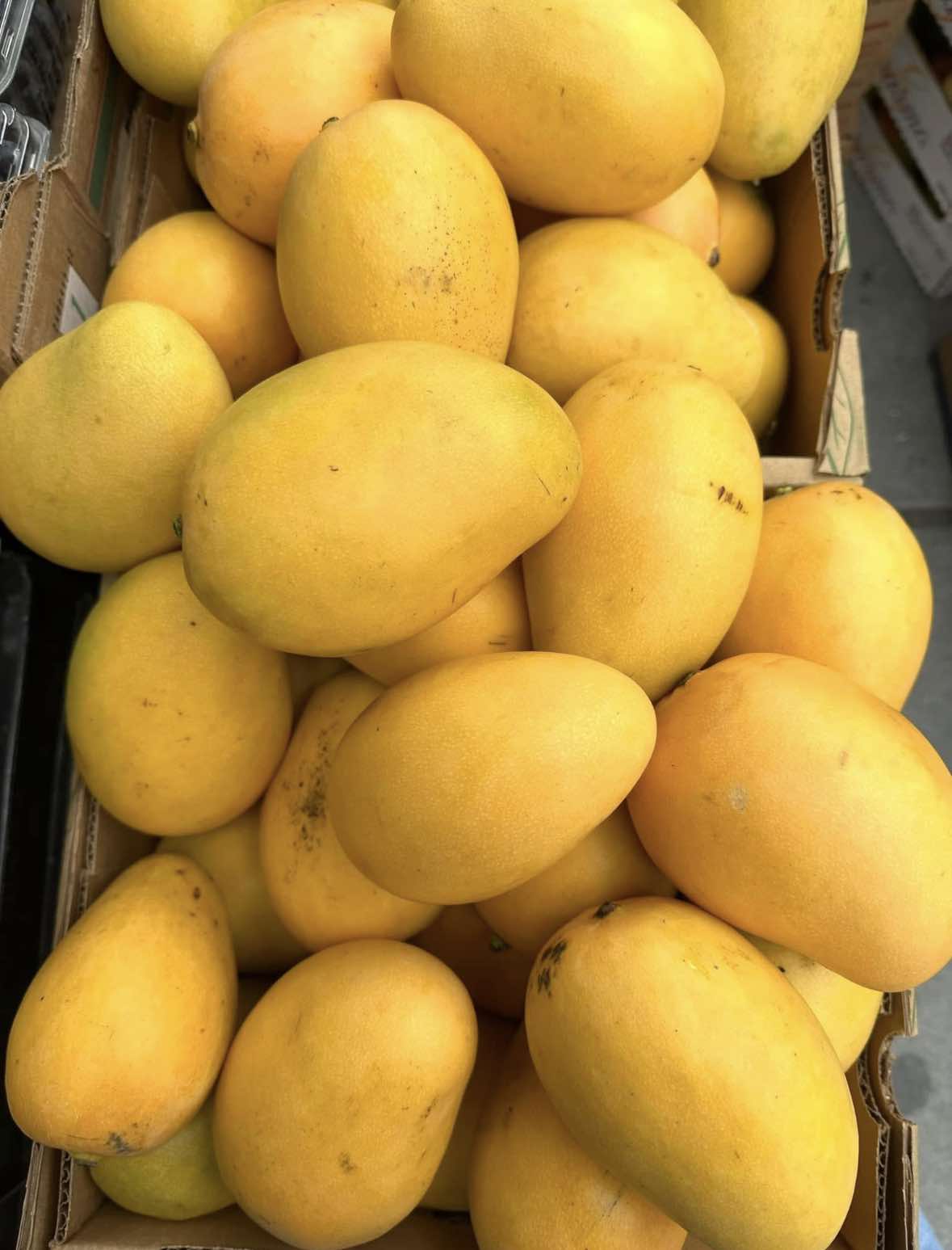 Dominican mango 12ct box