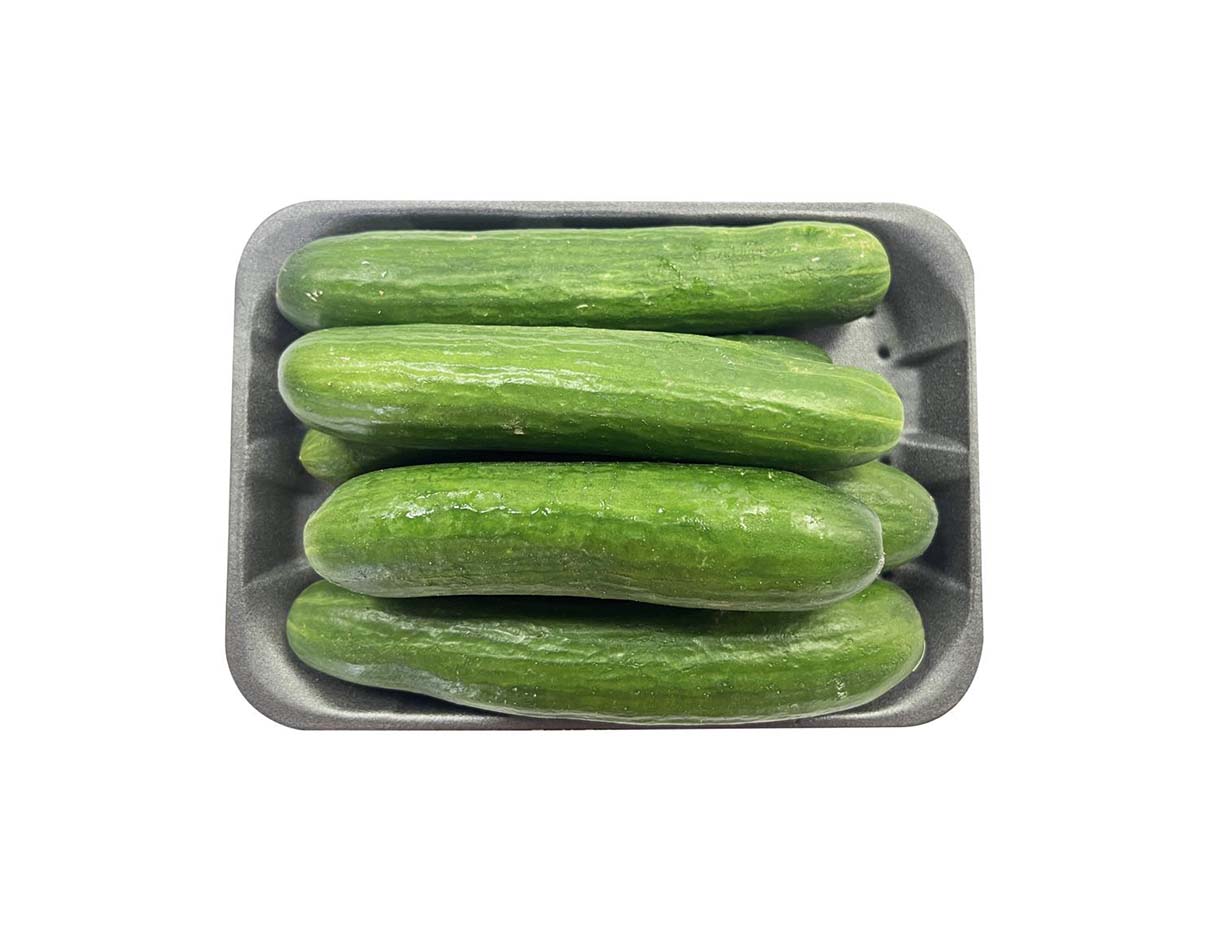 Cucumber Mini Pack (Kheera)