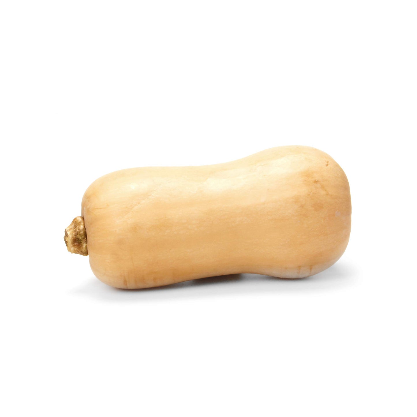 Butternut Squash 1 each