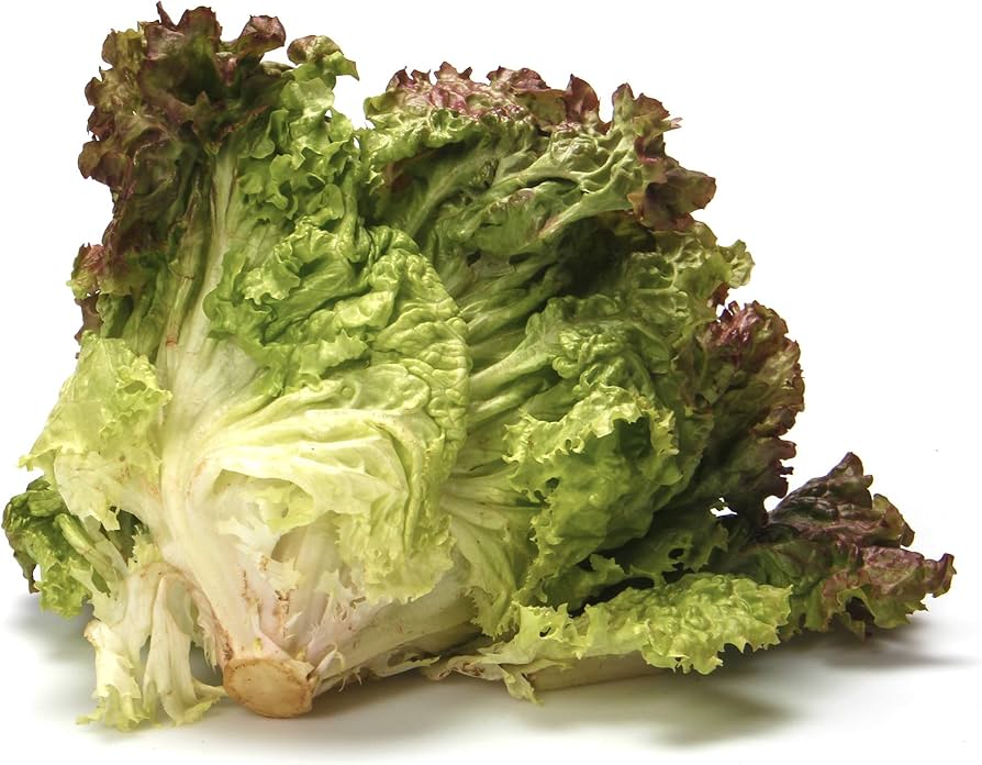 Red Leaf Lettuce 1 each