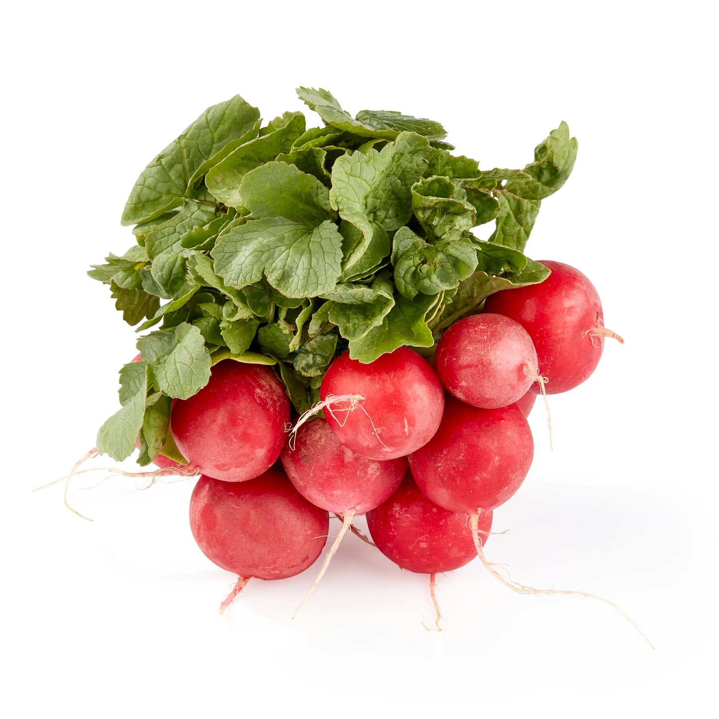 Red Radish Bunch 1 each