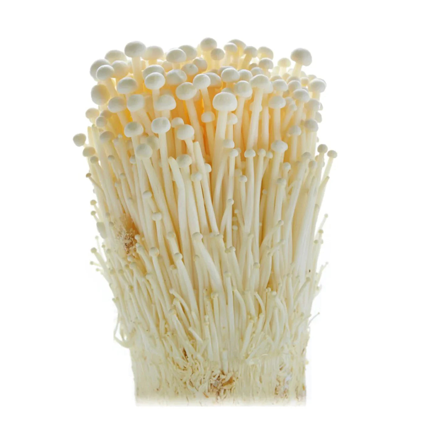 Enoki Mushrooms 200g