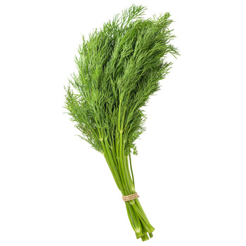 Suva Dill - bunch