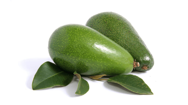 Dominician Avocado, each