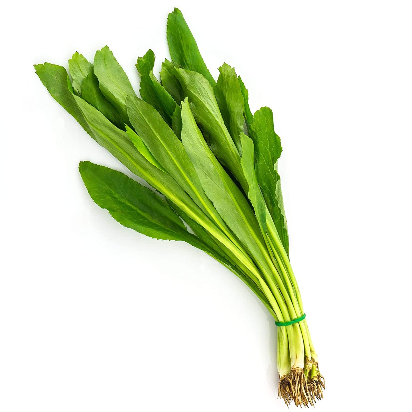 Culantro, each