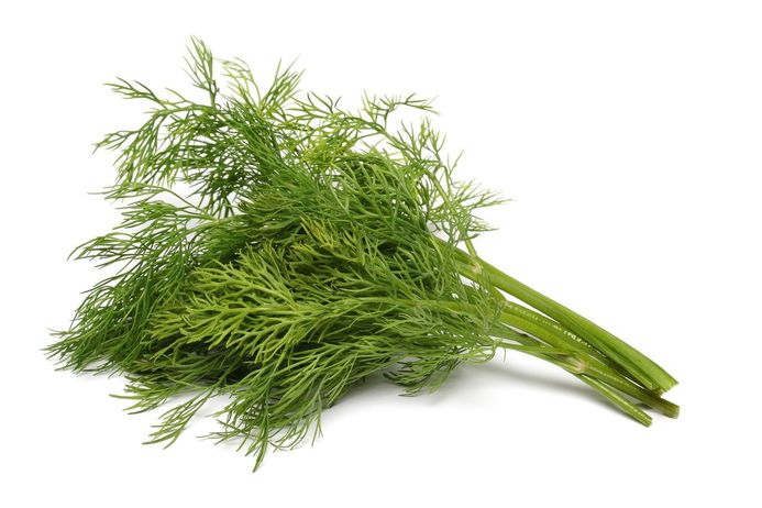 Dill leaves