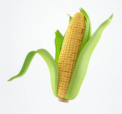 Corn (Buy 2 for $1)