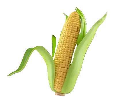 Corn, (Buy 2 for $1)