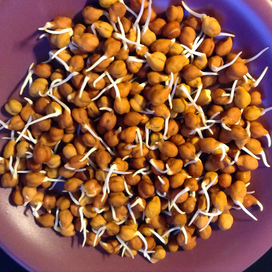 Sprout (Kala Chana) Bag - Each