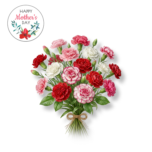 Carnation flowers