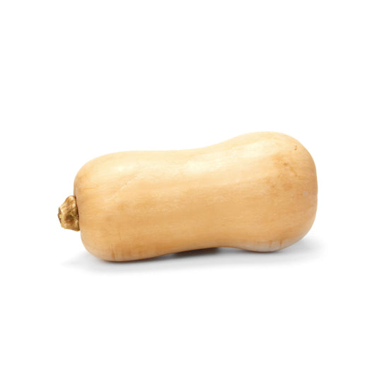 Butternut Squash 1 each