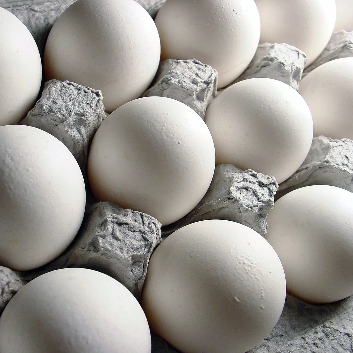 These delicious eggs are cage free.