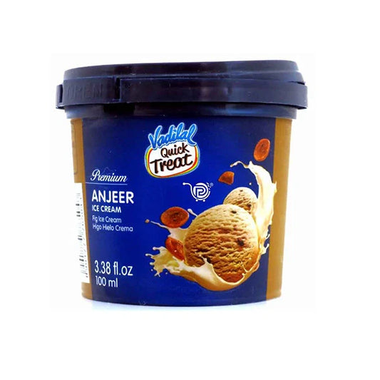 Vadilal Anjeer Ice Cream 100ml