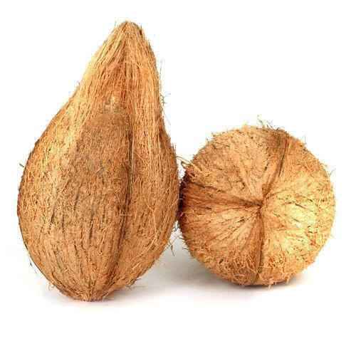 Puja Coconut, each