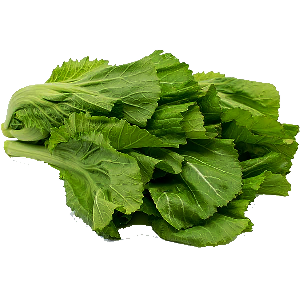 Rai Saag Small
