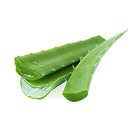 Aloe Vera, each