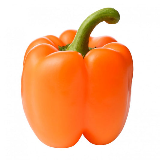 Orange pepper (shimla mirch), per lb
