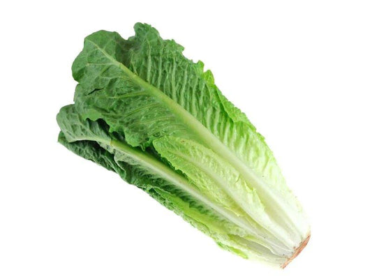 Romaine lettuce