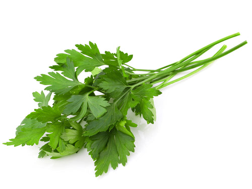 Parsley Italian