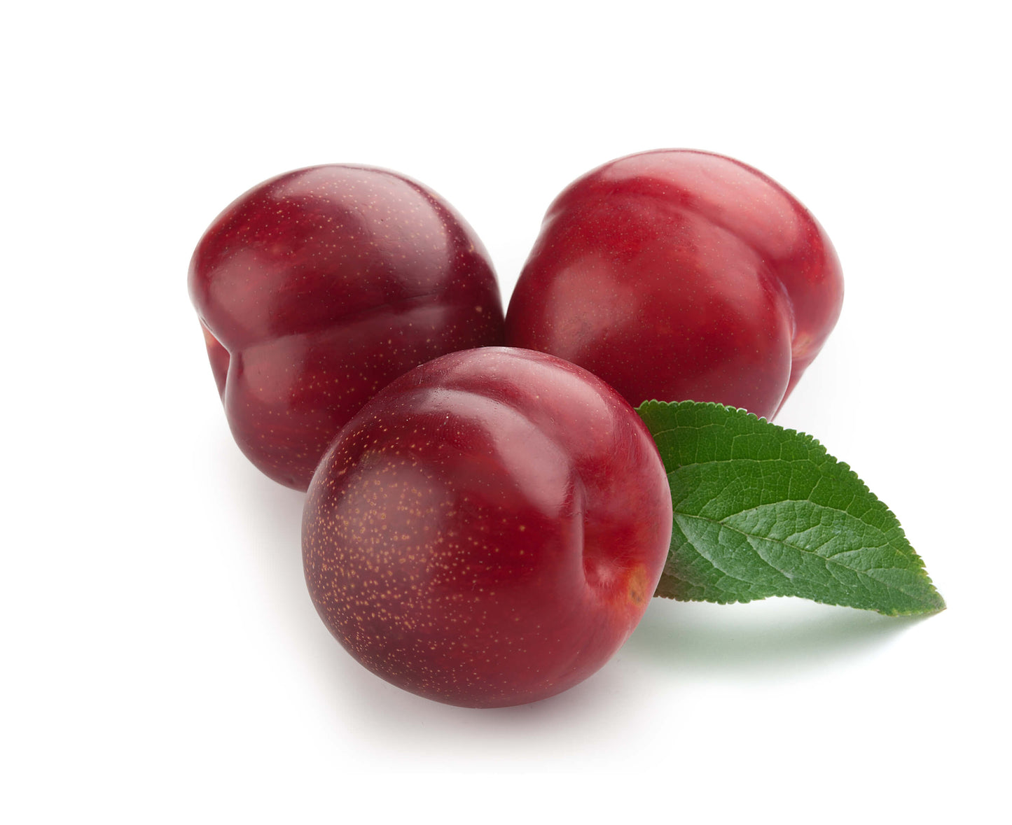 Red plum